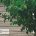 Сайдинг Ю-Пласт TIMBERBLOCK Пихта (Тимберблок) Cахалинская купить в Павловском Посаде